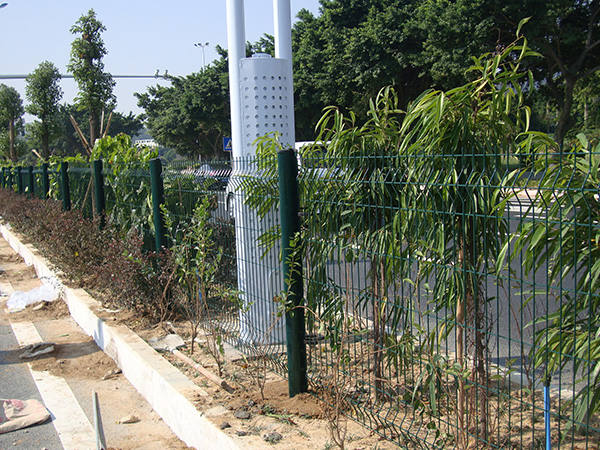 綠化帶防護網案例展示圖片2